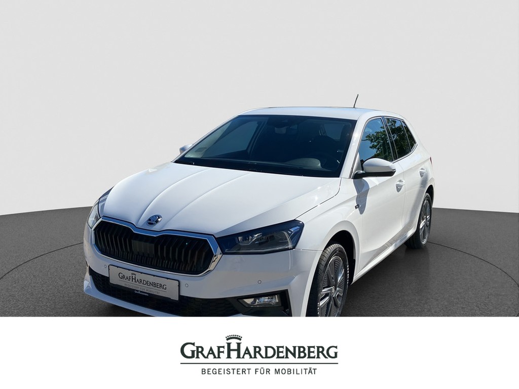 Skoda Fabia 1.0 TSI DSG Tour ACC Kamera LED