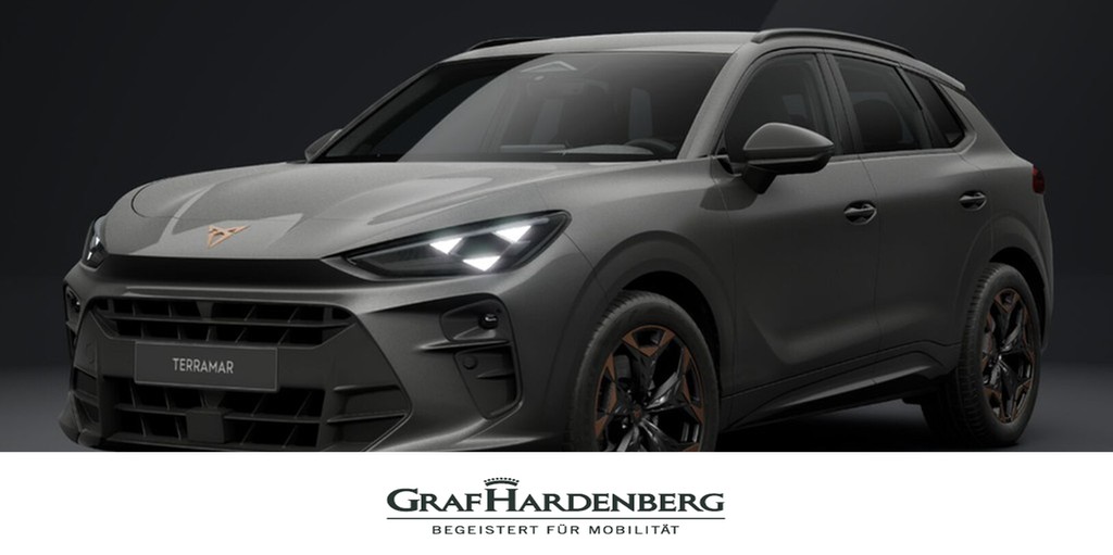 Cupra Terramar 2.0 TSI 204PS 7-Gang DSG 4Drive