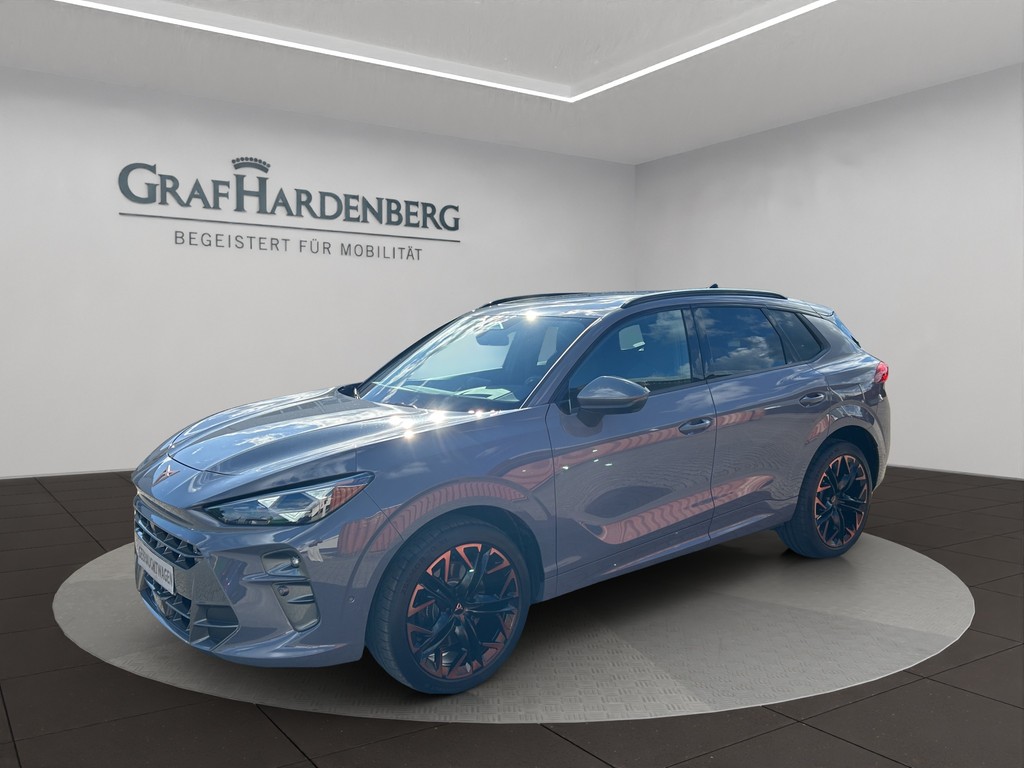 Seat Terra mar VZ 2.0 TSI 4Drive DSG Pano Standheizung