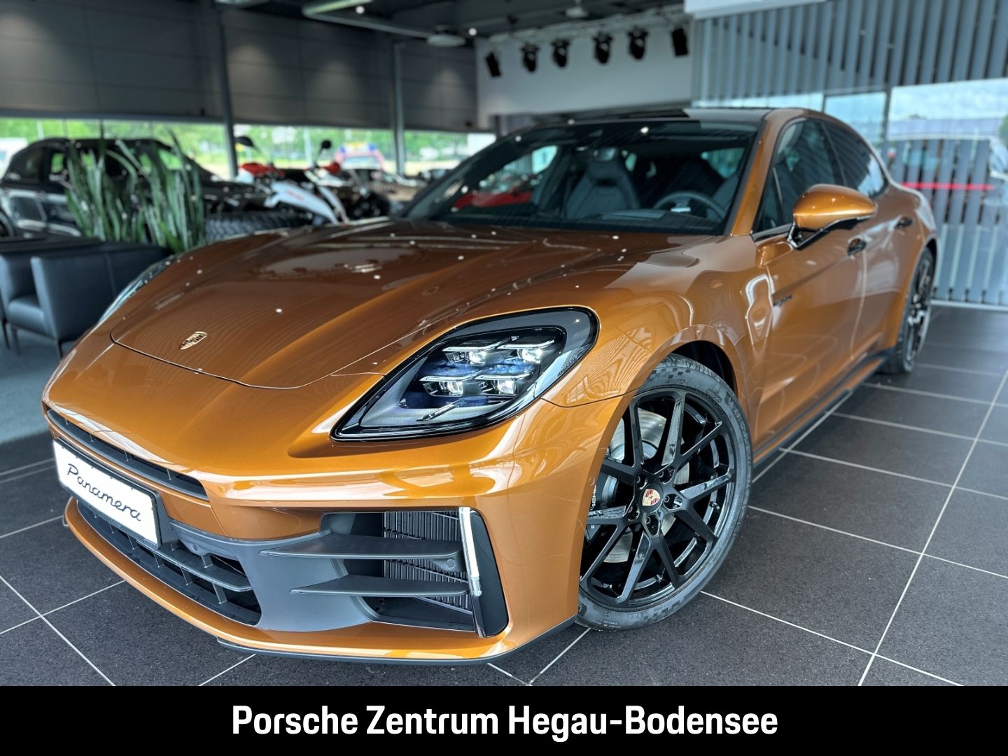 Porsche Panamera 4S E-Hybrid/SportDesign/Sportabgasanlag