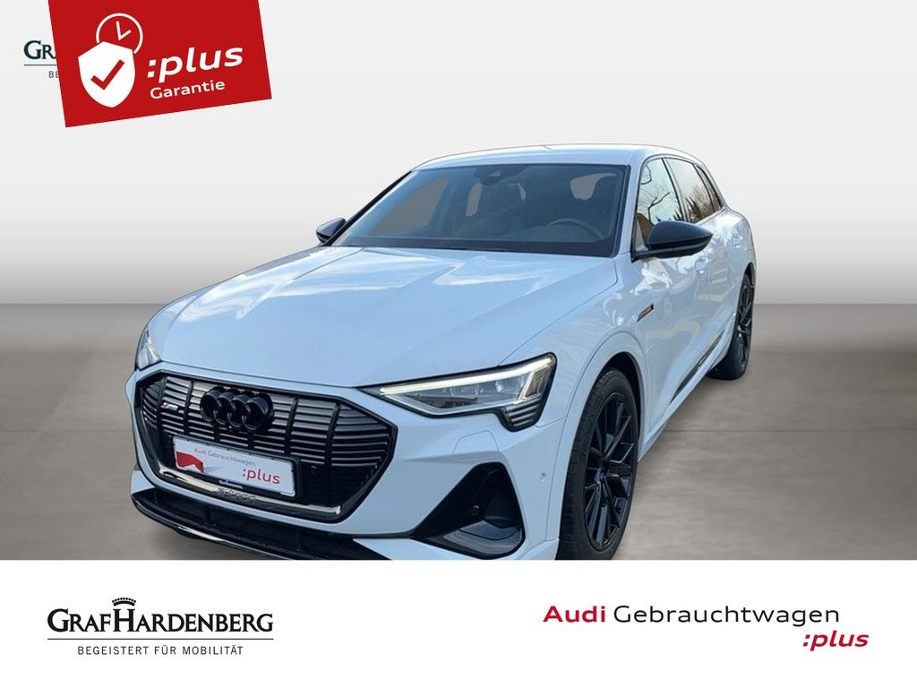 Audi e-tron 230 quattro S line B&O LED Luftfederung