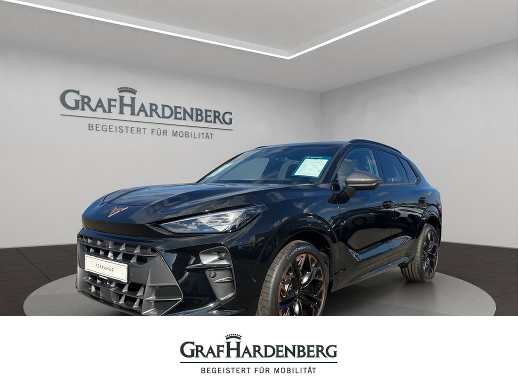 Cupra Terramar 2.0 TSI VZ 4Drive DSG Head-up-Display