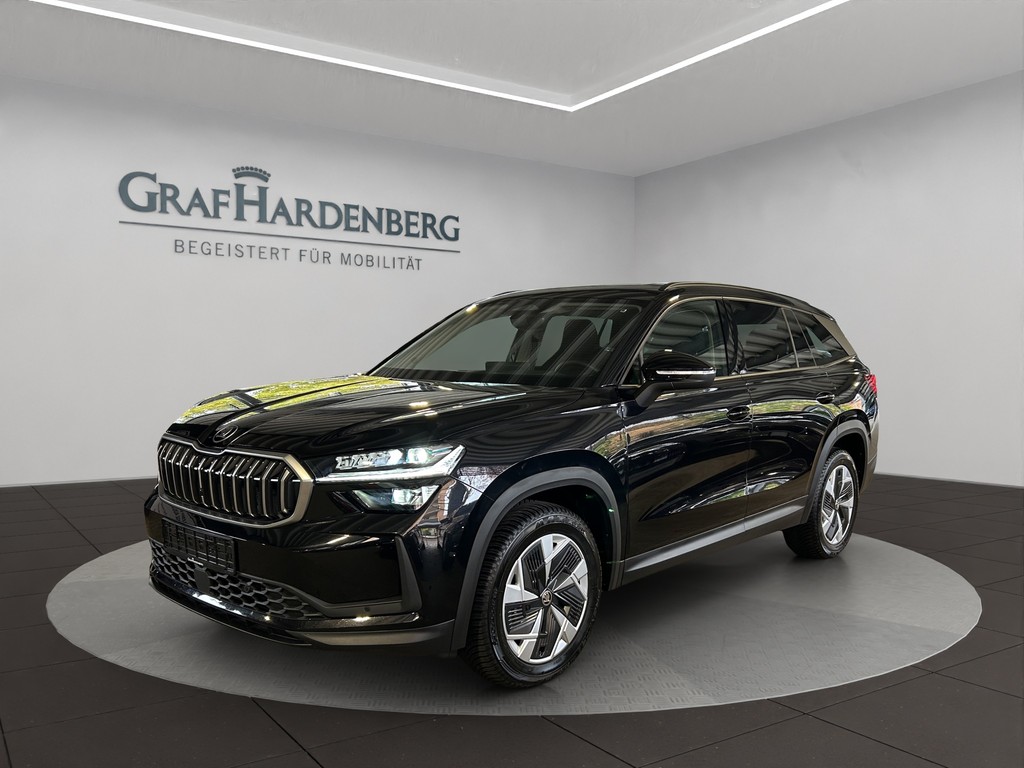 Skoda Kodiaq 2.0 TDI DSG 4x4 2.0 TDI 142kW 4x4 Selection Komfort Paket / Infotainment Plus / Winter - Paket / uvm