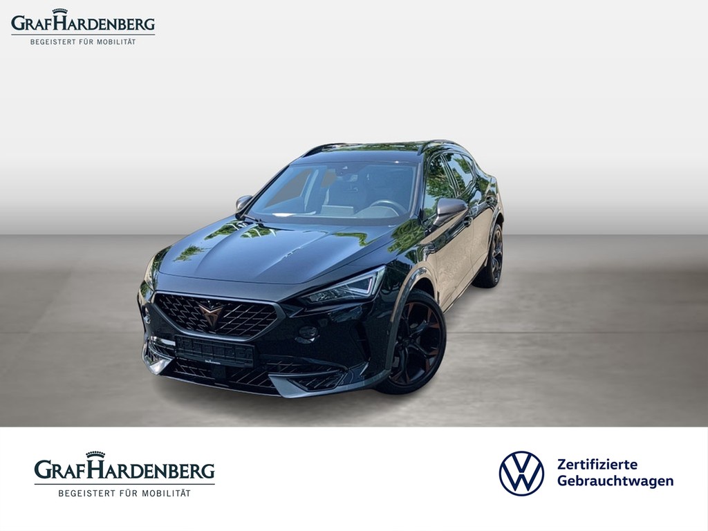 Cupra Formentor VZ 4Drive 2.0 TSI DSG AHK TopView