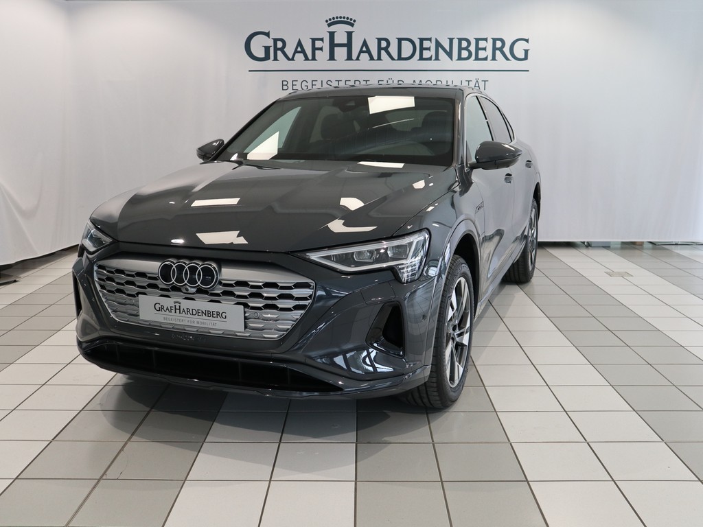 Audi Q8 Sportb. e-tron 50 qu. advanced AHK 360° ACC